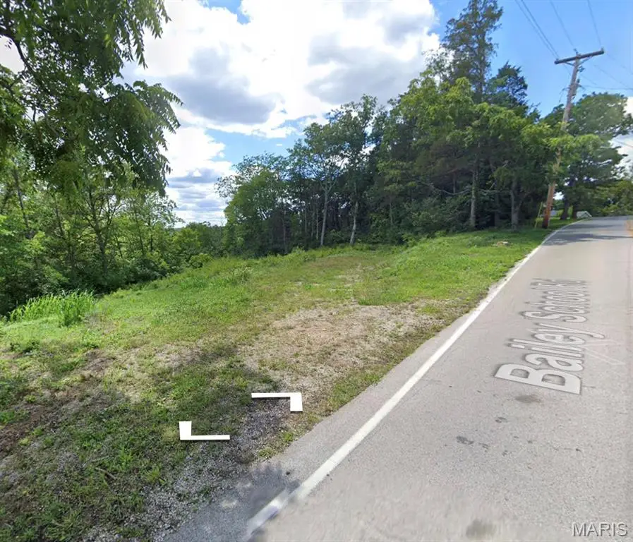 10980 Bailey School Road, Festus, MO 63028 - #3