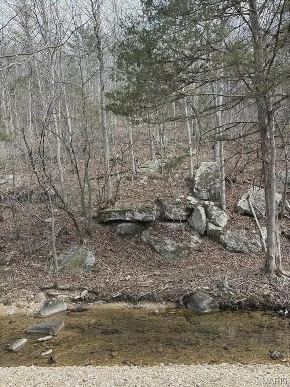 3528 M- County Road 329, Ava, MO 65608