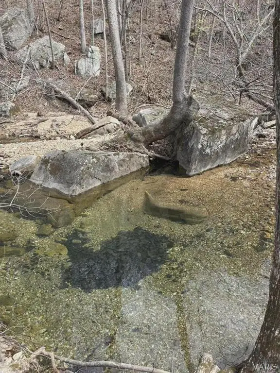 3528 M- County Road 329, Ava, MO 65608 - #3