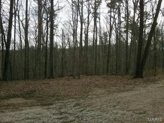 0000000 W Highway 8, Potosi, MO 63664 - #2