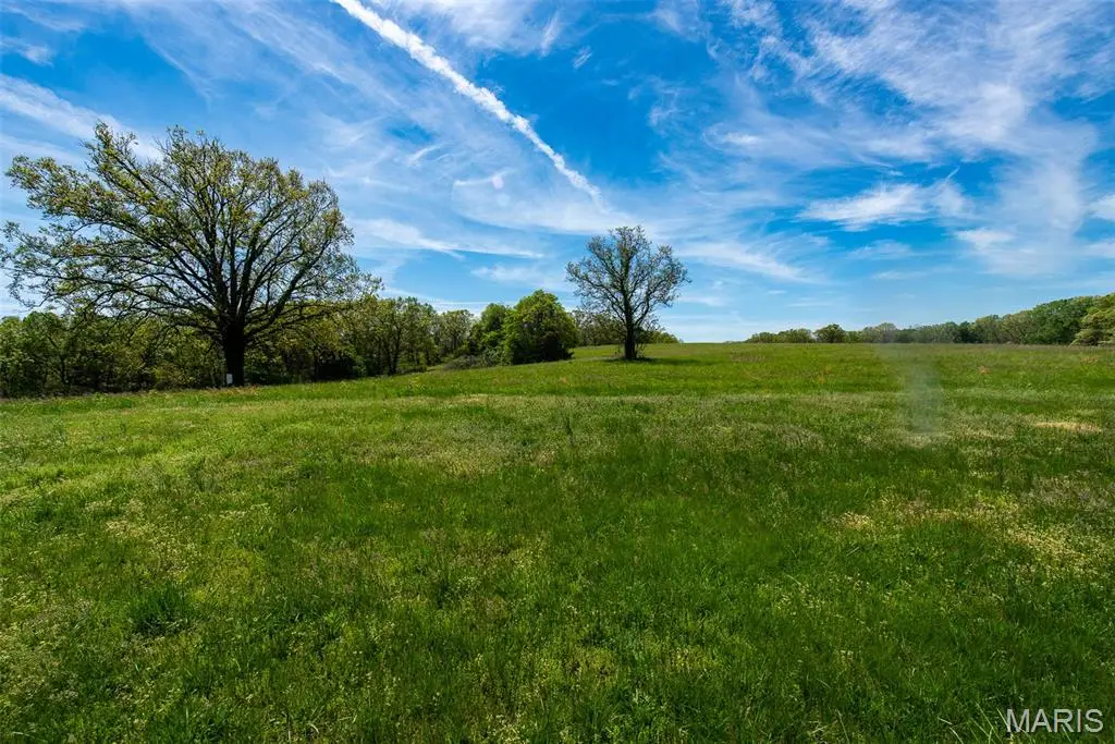 1470 Gravois Road, Saint Clair, MO 63077 - #1