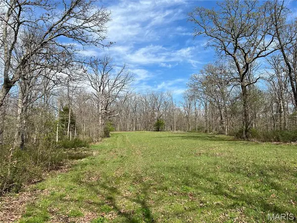 24755 Mayapple Lane, Lebanon, MO 65536