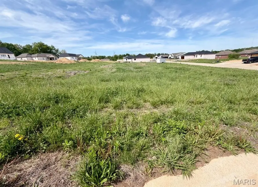 204 Summerfield Way, Cape Girardeau, MO 63701 - #3