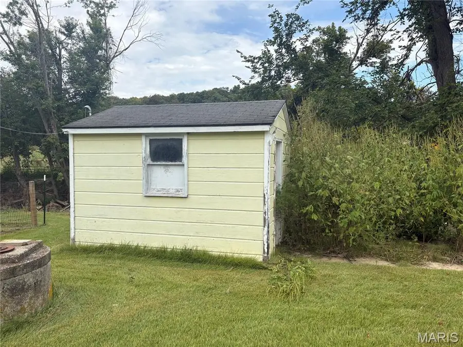 5503 Michael Hamburg Road, Crater, IL 62065 - #3