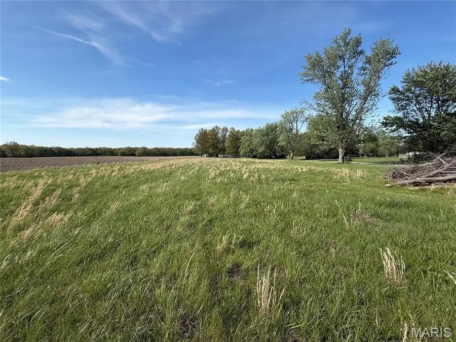 TBD Fellin Drive, Mount Olive, IL 62069 - #2