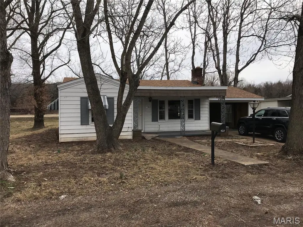 623 Camilla Street, Park Hills, MO 63601 - #1