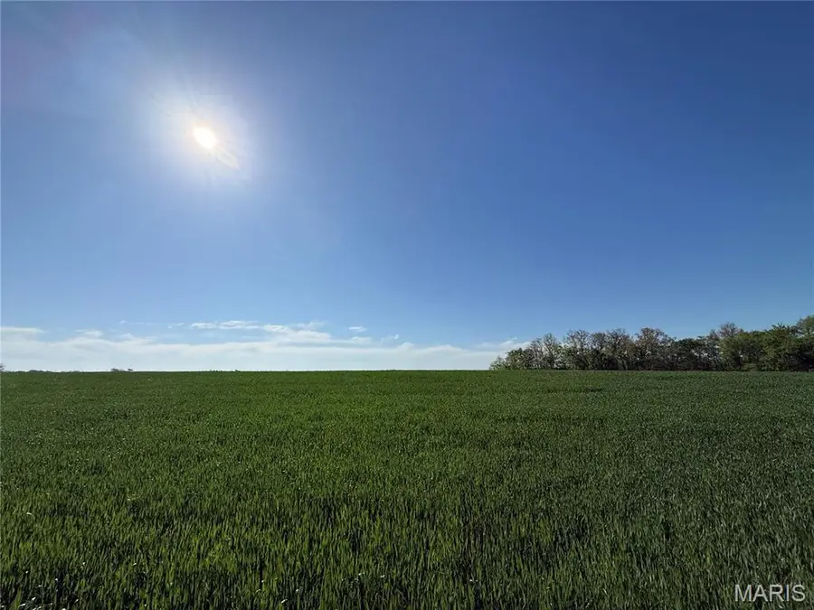 000 Vandebrook Drive, Waterloo, IL 62298 - #2