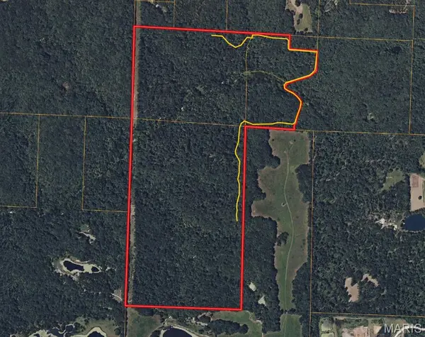 177 +/- AC Tree Farm Road, New Florence, MO 63363