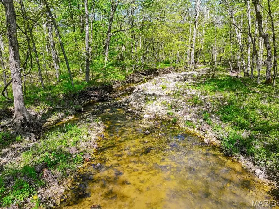 177 +/- AC Tree Farm Road, New Florence, MO 63363 - #2