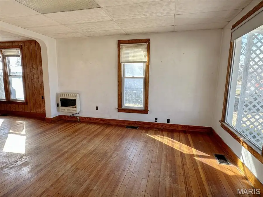 114 E Rowe Street, Roodhouse, IL 62082 - #3