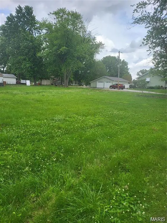 117 S Grace Street, Marissa, IL 62257 - #2