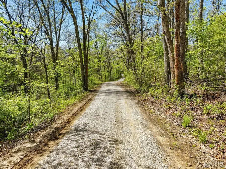 73 +/- AC Tree Farm Road, New Florence, MO 63363 - #3