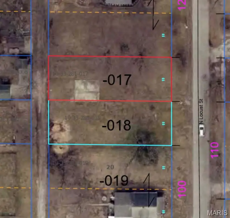 1115 N Locust Street, Litchfield, IL 62056 - #3