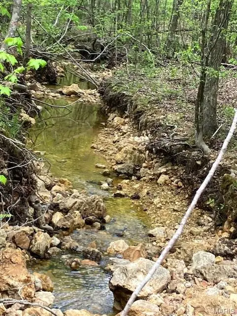 225 Madison Cr 410, Fredericktown, MO 63645 - #2