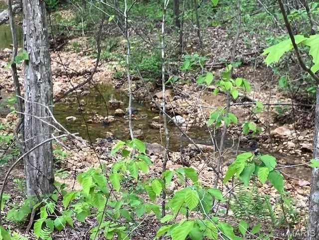 225 Madison Cr 410, Fredericktown, MO 63645 - #3