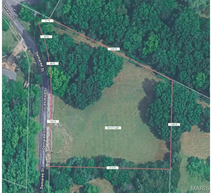 1 Demaree, House Springs, MO 63051 - #2