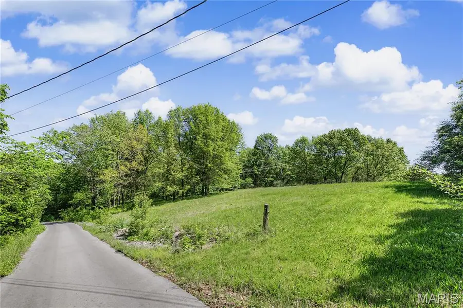 1 Demaree, House Springs, MO 63051 - #3