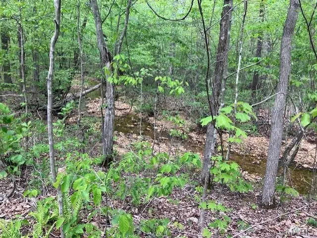 226 Madison Cr 410, Fredericktown, MO 63645 - #2