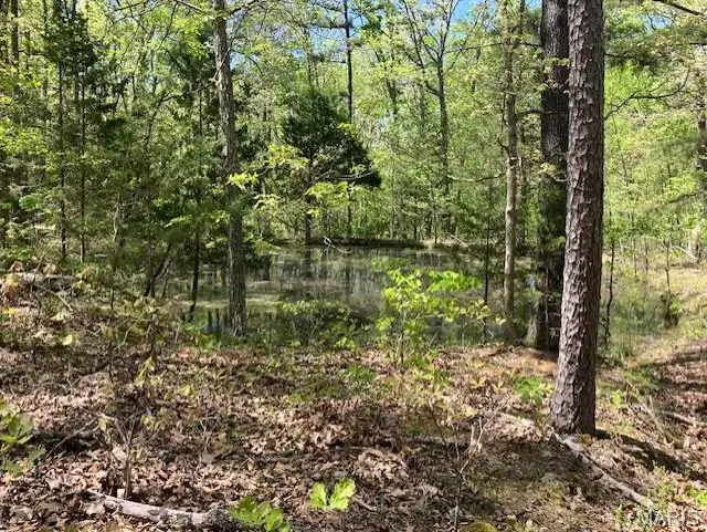 11 W State Highway 8, Breton, MO 63660 - #1