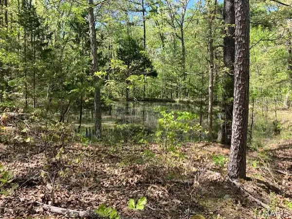 11 W State Highway 8, Potosi, MO 63660