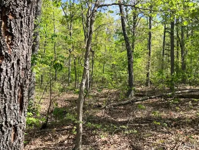 11 W State Highway 8, Breton, MO 63660 - #3