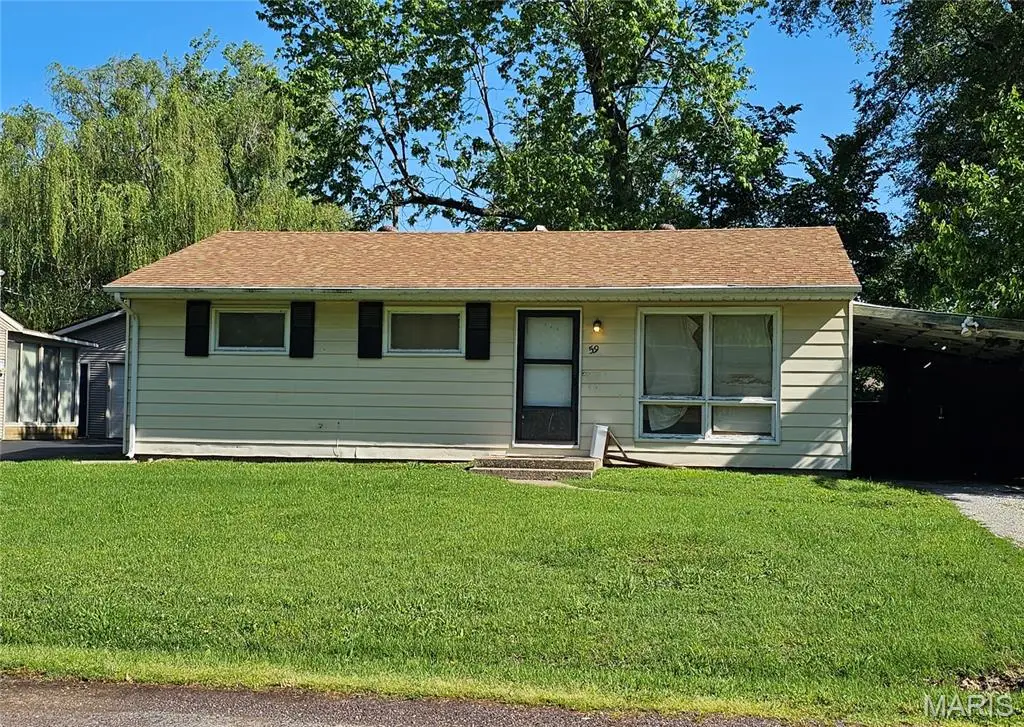 59 Lillian Drive, Belleville, IL 62226 - #1