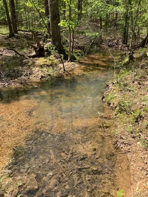 14 W State Highway 8, Potosi, MO 63660 - #3