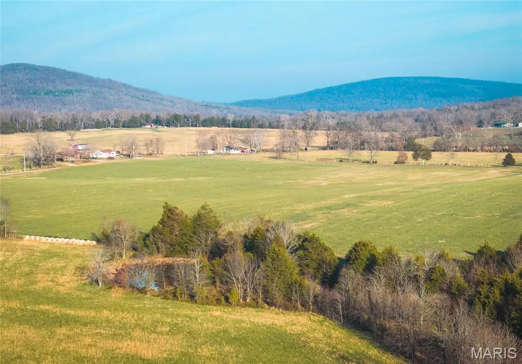 0000 Wayne County Road 324, Patterson, MO 63956 - #1