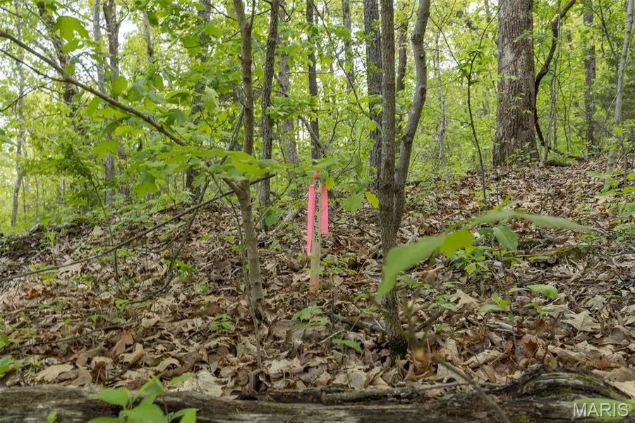 0 Whittaker Road, French Village, MO 63036 - #2