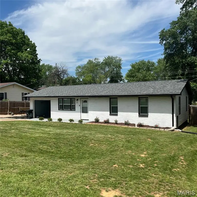 205 Columbia Street, Bonne Terre, MO 63628 - #3