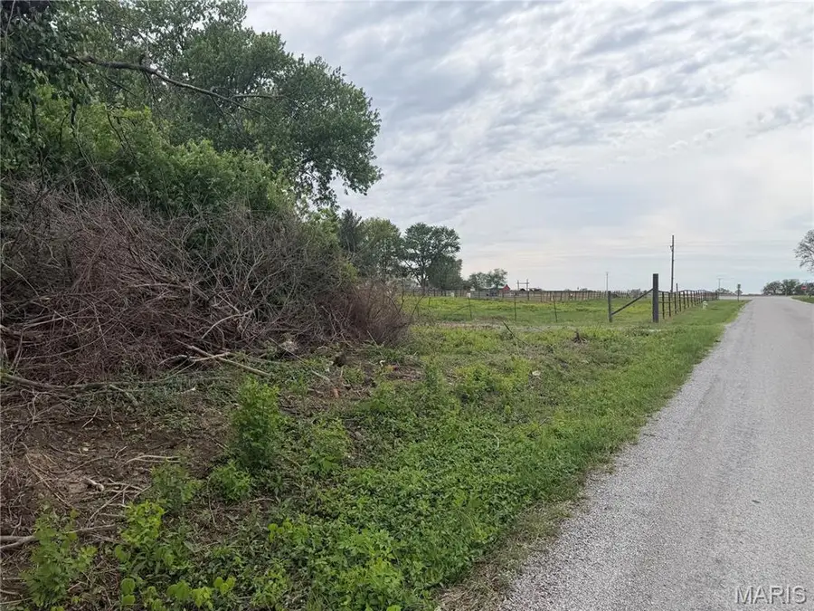 86 Honeysuckle Road, Marissa, IL 62257 - #2