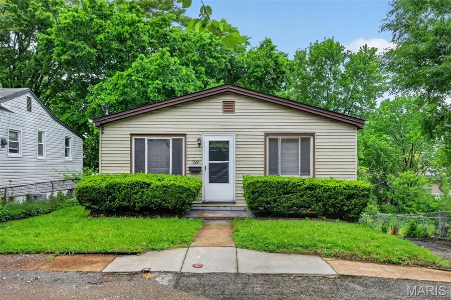729 Dammert Avenue, Saint Louis, MO 63125 - #2