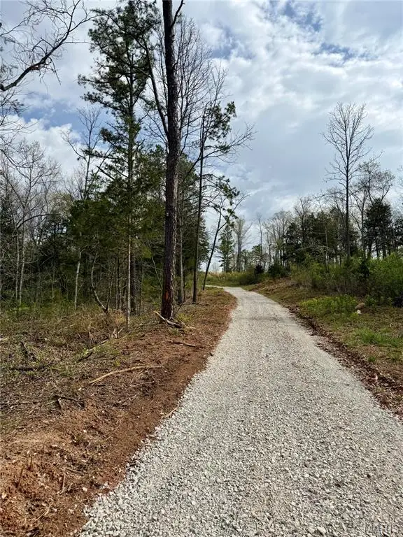 4 Furnace Creek Road, Potosi, MO 63664 - #2