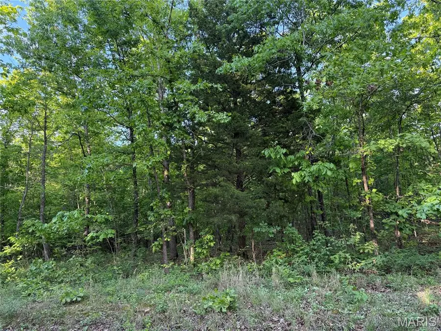 Tract 5 Carter 327, Ellsinore, MO 63937 - #3