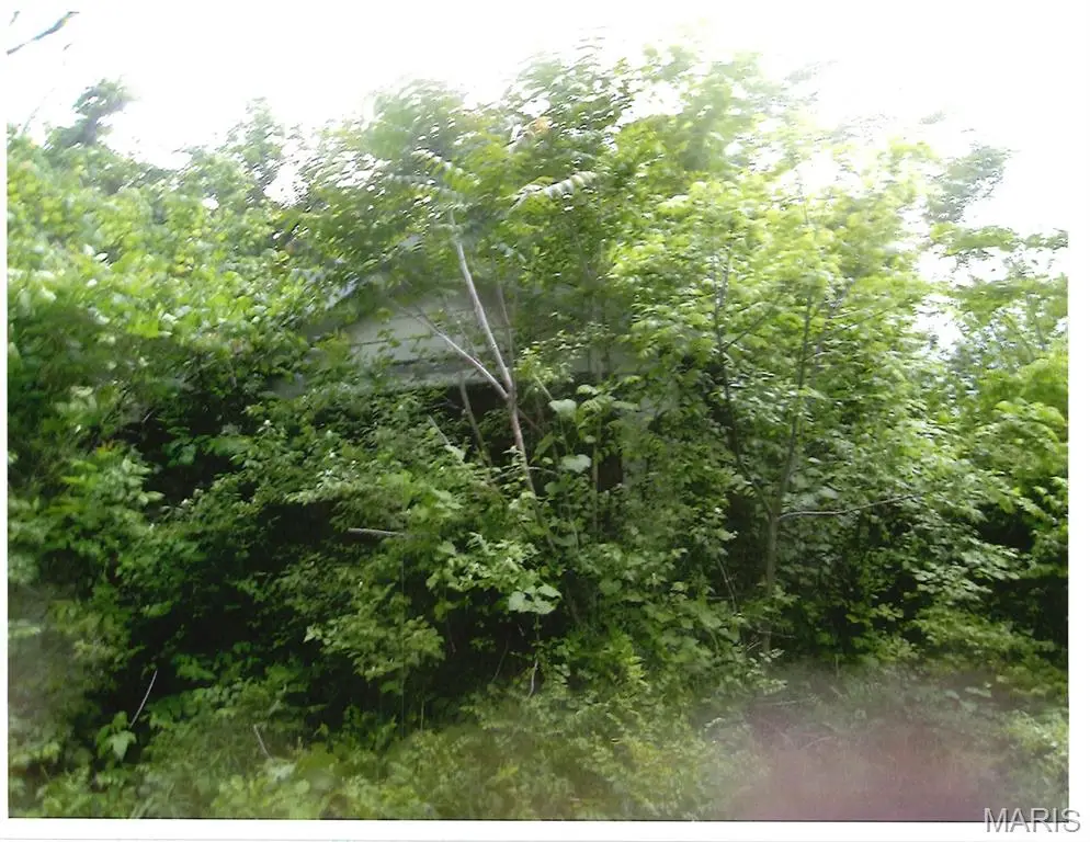 1931 N 57th Street, Washington Park, IL 62204 - #1