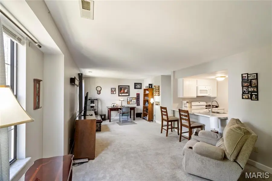9714 Raintree Village Drive #3F, Hillsboro, MO 63050 - #2