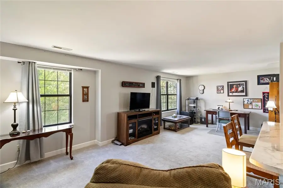 9714 Raintree Village Drive #3F, Hillsboro, MO 63050 - #3