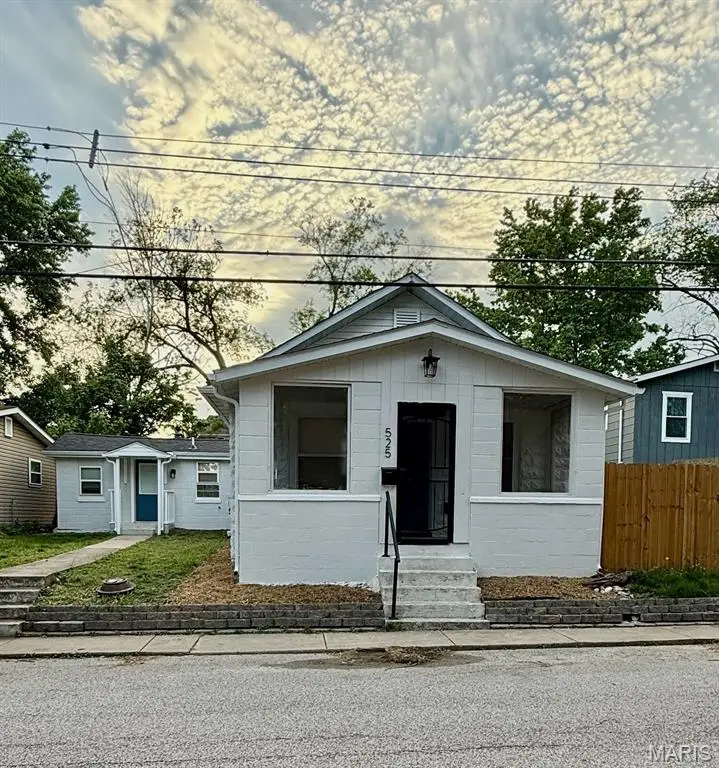 525 N Adams Street, Festus, MO 63028 - #1
