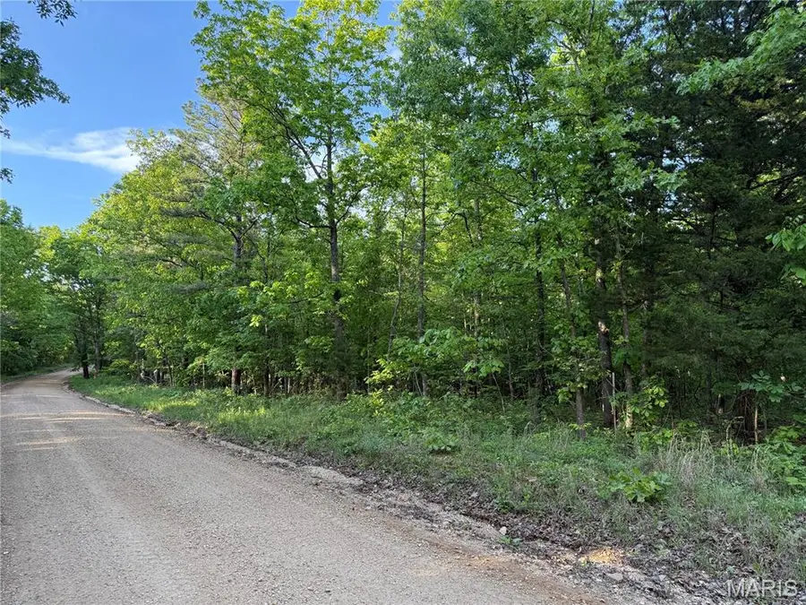 Tract 2 Carter 327, Ellsinore, MO 63937 - #2