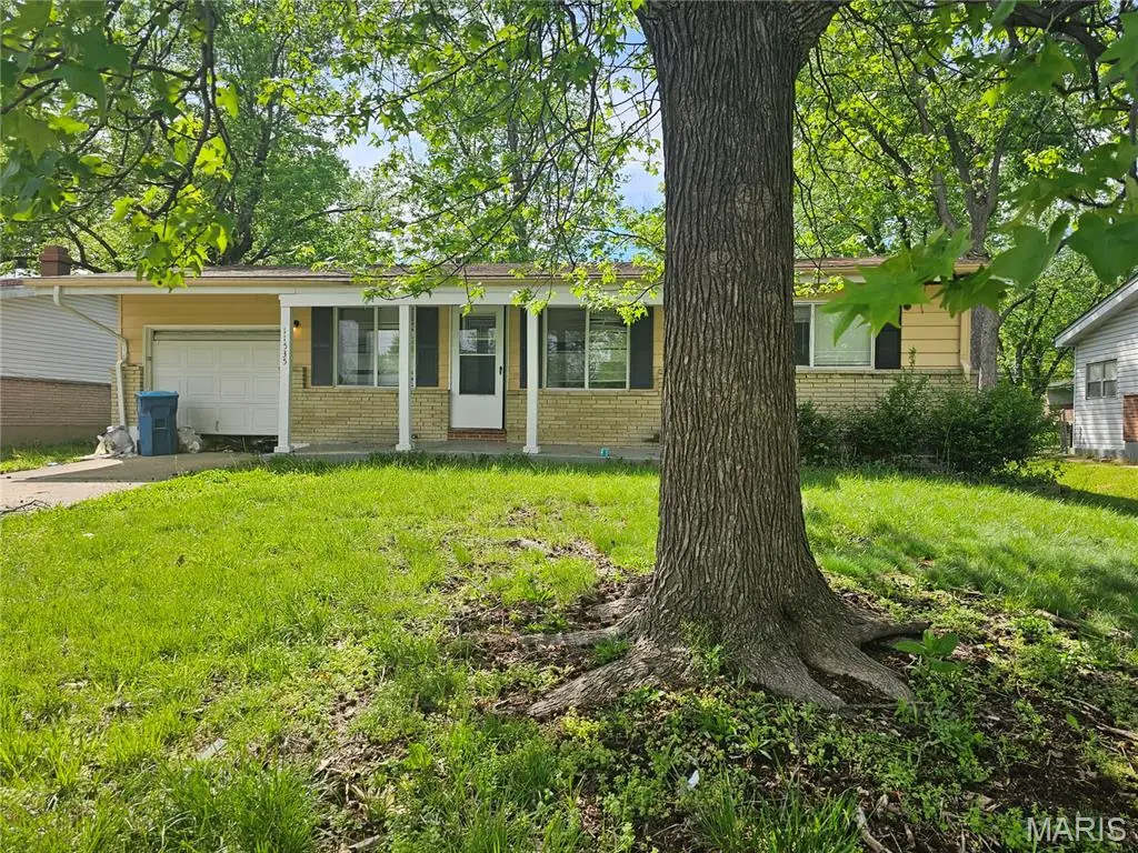 11535 Criterion Avenue, Saint Louis, MO 63138 - #1
