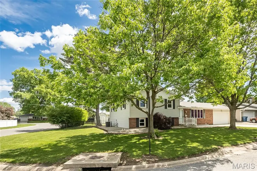 301 Wyoming Street, Bethalto, IL 62010 - #3