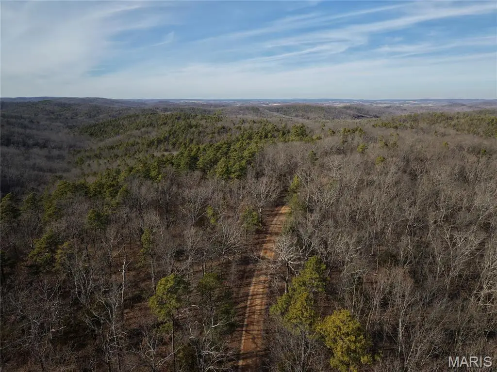 Tract 1 Bidwell Creek Road, Womack, MO 63645 - #1