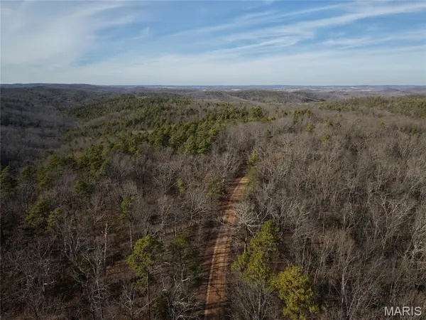 Tract 1 Bidwell Creek Road, Womack, MO 63645