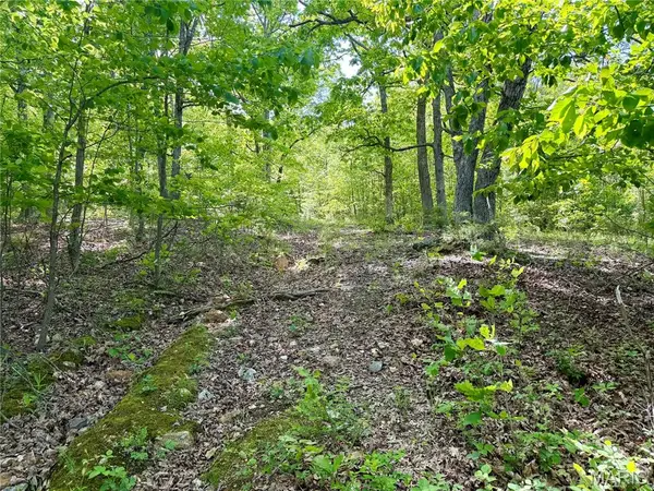 0 Pratt Road, Cadet, MO 63630