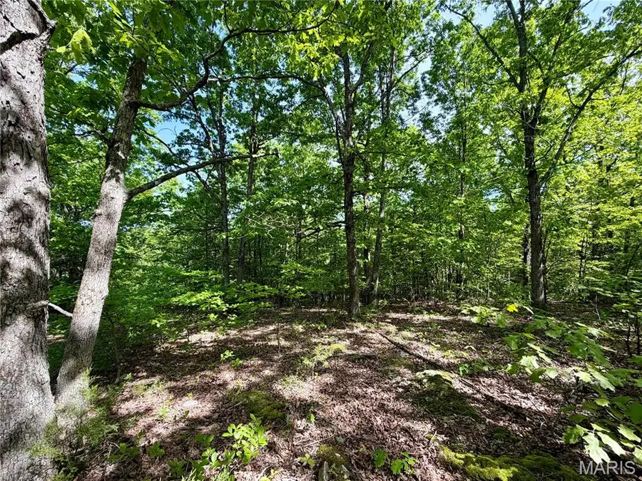 0 Pratt Road, Cadet, MO 63630 - #2