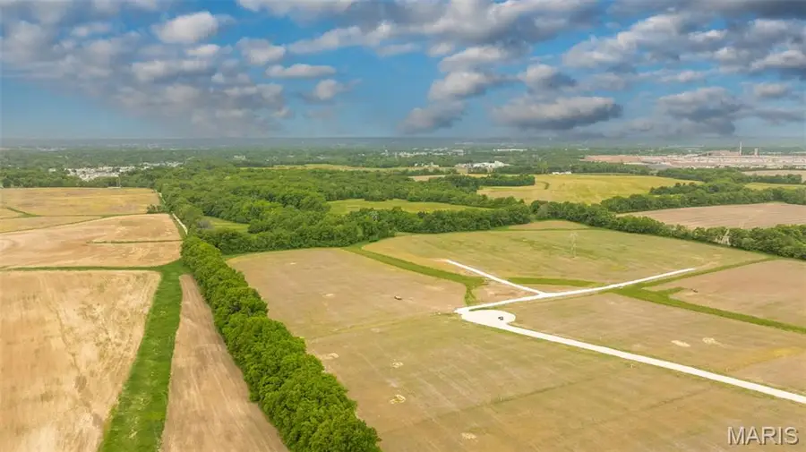 181 Antler Court, Wentzville, MO 63385 - #2