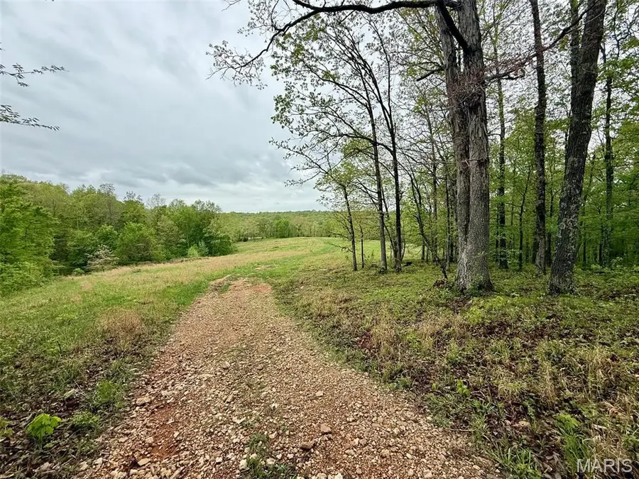0 Bcr 310, Marble Hill, MO 63764 - #3