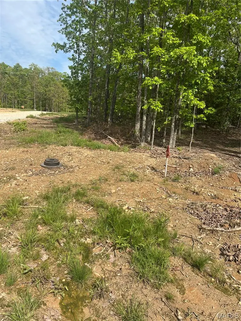 0 Cr 4180, Salem, MO 65560 - #2