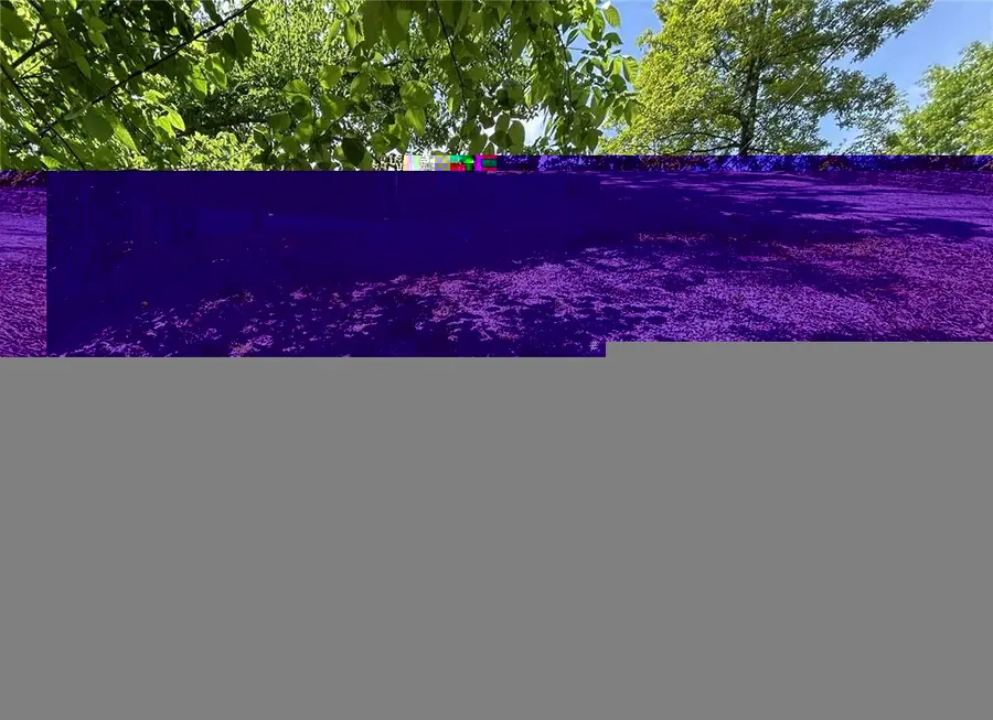 438 Little Dogwood Lake Road, Burfordville, MO 63739 - #2