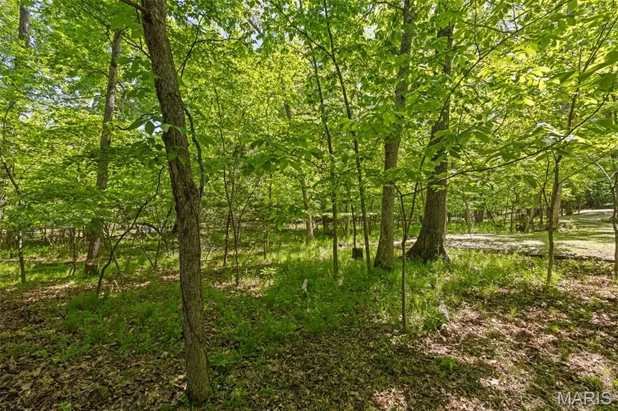 677 Whitetail Creek Drive, Innsbrook, MO 63390 - #3
